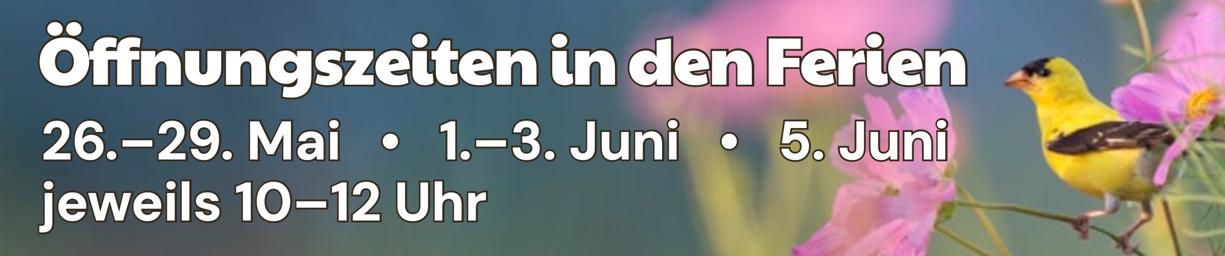 Öffnungszeiten in den Pfingstferien: 26. bis 29. Mai, 1. bis 3 Juni und 5. Juni – jeweils von 10 bis 12 Uhr